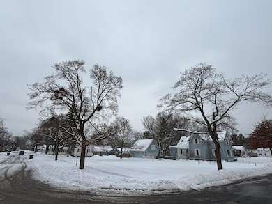 308 E River St, Spring Lake, MI 49456 - photo 5