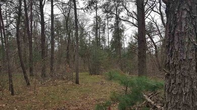 5.56 AC 37th St E, Clearfield, WI 53950 - photo 7