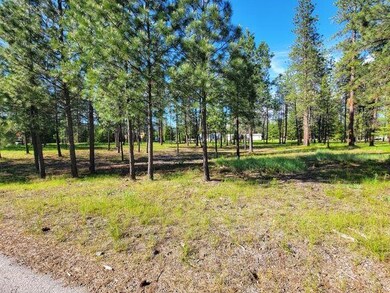 253 Eagle Dr, Chewelah, WA 99109 - photo 4