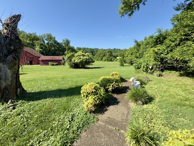 113 Bluff Springs Rd, McMinnville, TN 37110 - photo 6