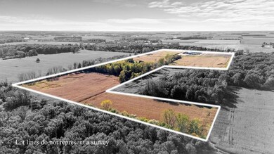 0 Covert Rd, Summerfield Township, MI 49270 - photo 5