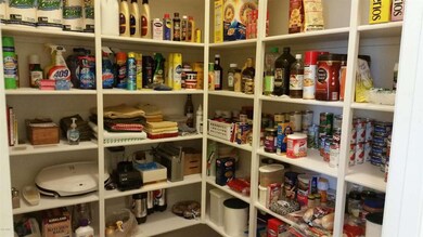 Walk-in Pantry