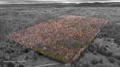 TBD Hallelujah Ln, Mena, AR 71953 - photo 2