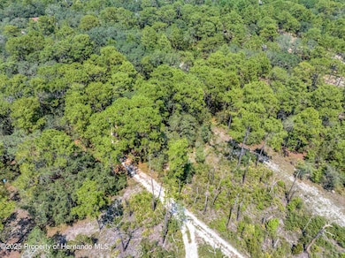 0 Restoration unit 2255435, Weeki Wachee, FL 34613 - photo 3