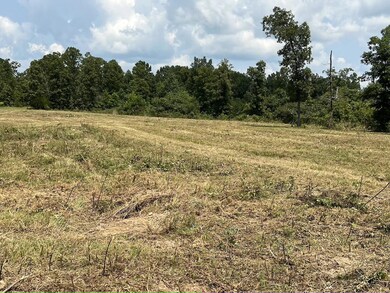 land for sale in thayer7
