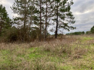 TBD Farm To Market 225, Nacogdoches, TX 75964 - photo 4