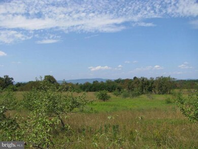 0 A Orchard Point unit 1004622112, Levels, WV 25431 - photo 4