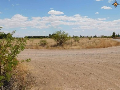 0 Dove Ln unit 20212644, Deming, NM 88030 - photo 3