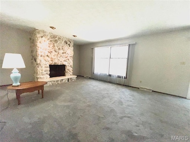 707 S Library St, Waterloo, IL 62298 - photo 7