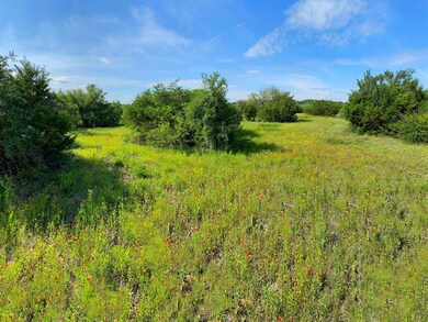 996 Meadow Hill Rd, Fort Worth, TX 76108 - photo 5