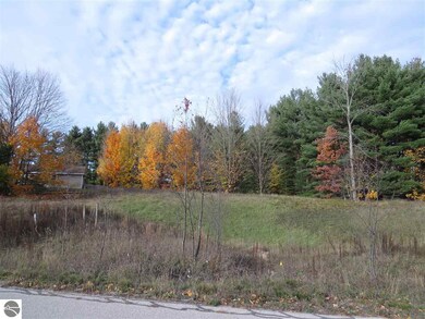 Lot 95 Eden St unit 95, Kingsley, MI 49649 - photo 3