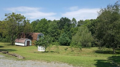 Summer Side Yard and Storage Building
