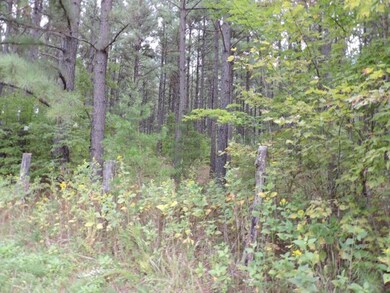 tbd Mountain Valley Rd, Axton, VA 24054 - photo 2