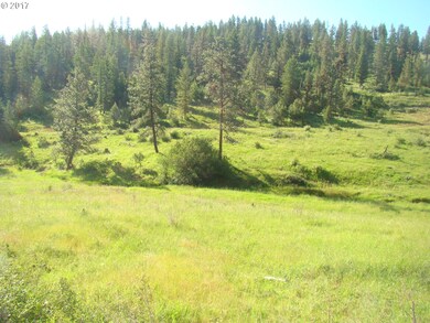 0 Rail Canyon Rd unit 17074578, Joseph, OR 97846 - photo 3