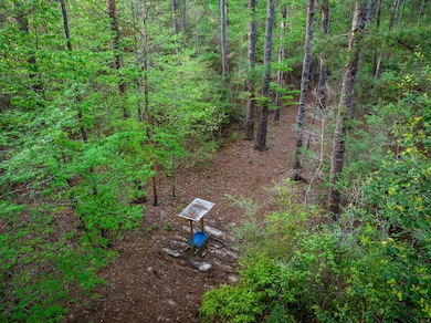 000 Breakfield Ln, Columbia, MS 39429 - photo 4