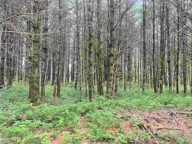 0 Behnke Rd, Texas, WI 54403 - photo 6