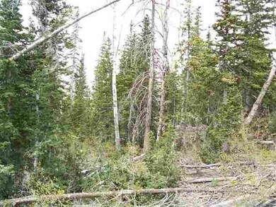 Picture of Neighboring Lot