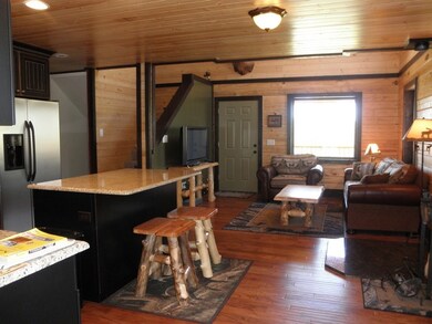 Living room and kitchen
