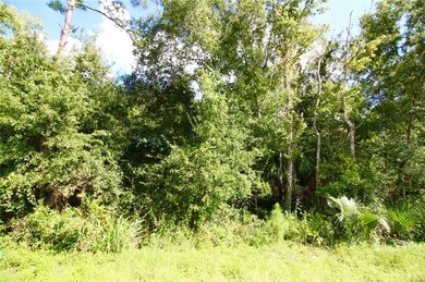 VIEW OF APPROXIMATE LOCATION OF LOT 10