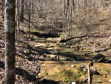 Dugan Loop Stream #9