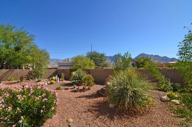Catalina Mountain View