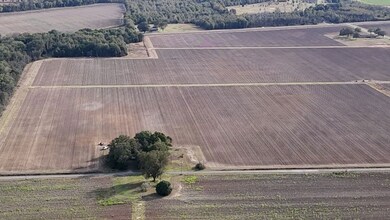 733 Highway 2, Oak Grove, LA 71263 - photo 4