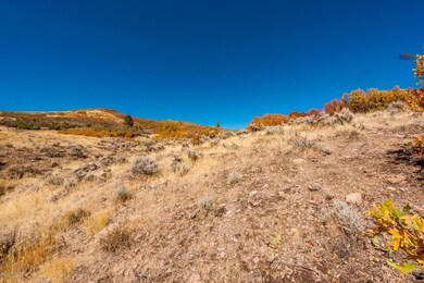 Lot-View_1800x1200_3147882