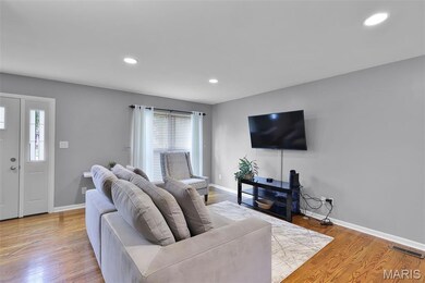 8227 Swarthmore Ct, Saint Louis, MO 63130 - photo 4