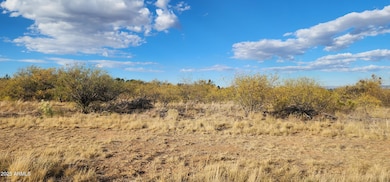 TBD S Stickler Ln unit A, Sierra Vista Southeast, AZ 85615 - photo 7