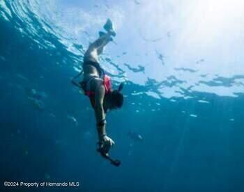 weeki wachee pix3