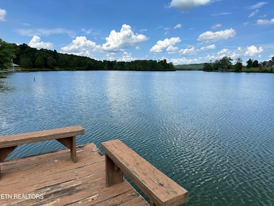 334 Chamberlain Cove Rd, Kingston, TN 37763 - photo 3