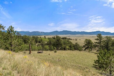 194 Rawhide Way, Como, CO 80432 - photo 2