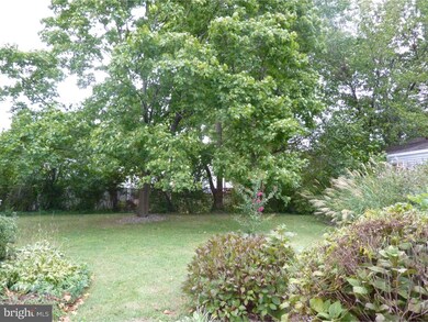 246 N Harrison St, Princeton, NJ 08540 - photo 4