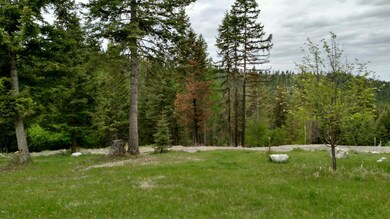 970 Spring Hill Rd, Kila, MT 59920 - photo 4