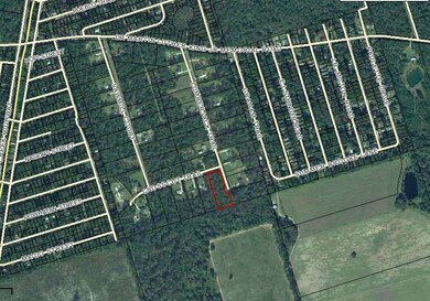 0 Cross Cut Trail unit 271024, Crawfordville, FL 32327 - photo 7