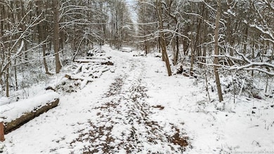 1357 N 3, Blocher, IN 47138 - photo 4