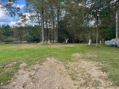 TBD Rapp Dr, Davis, WV 26260 - photo 7