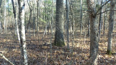 Lot 3 Ferry Rd, Grantsburg Township, WI 54840 - photo 7