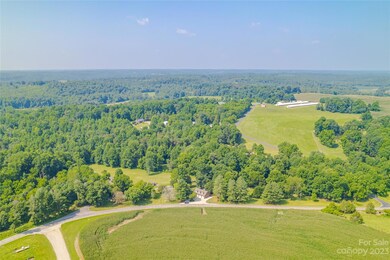 991 Snow Creek Rd, Statesville, NC 28625 - photo 3