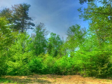 Spring Scene 1