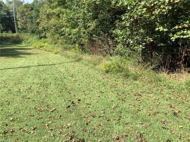 8774 Bame Rd, Colfax, NC 27235 - photo 4