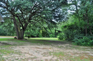 DSC_0762 (2)