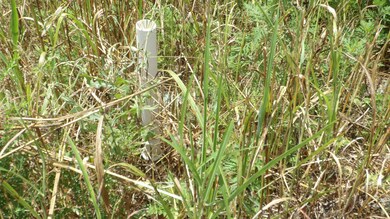 17 D Crappie Ln, Hilham, TN 38568 - photo 4