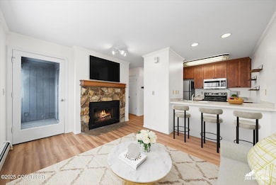 Living Area/Fireplace