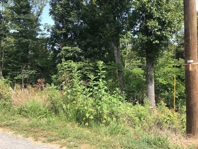 15 Rockhill Ln, Bella Vista, AR 72715 - photo 4