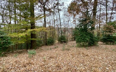 296 Abernathy Ln, Ellijay, GA 30540 - photo 3