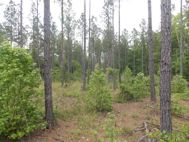 0 Lewis Crook Rd unit 454674, Lincolnton, GA 30817 - photo 3