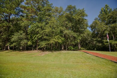 2420 Halperns Way, Middleburg, FL 32068 - photo 6