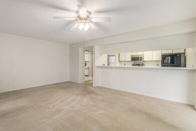 Living/Dining area
