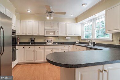 910 Stags Head Rd, Towson, MD 21286 - photo 7